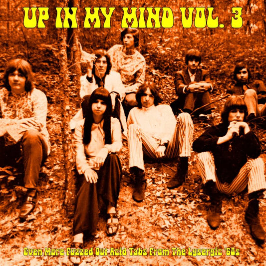 Various Artists - Up In My Mind Volume 3