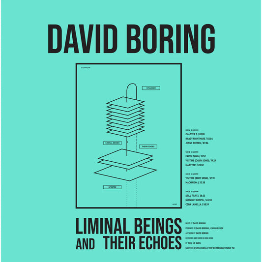 David Boring - Liminal Beings and Their Echoes [LP Grey eco-mix]