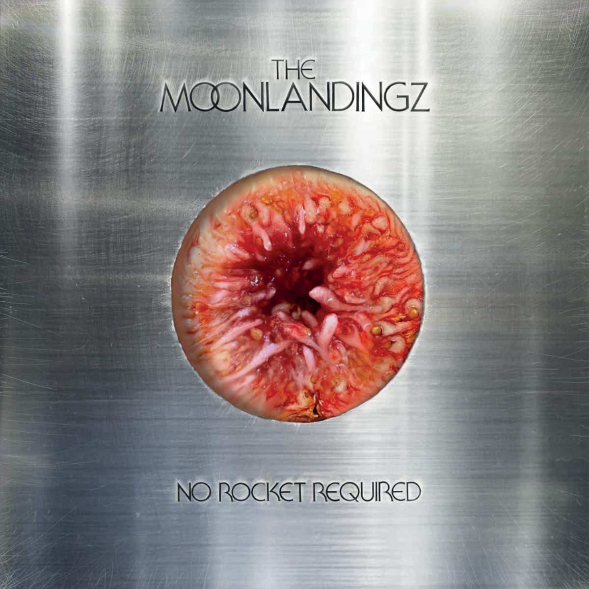 The Moonlandingz - No Rocket Required [CD]