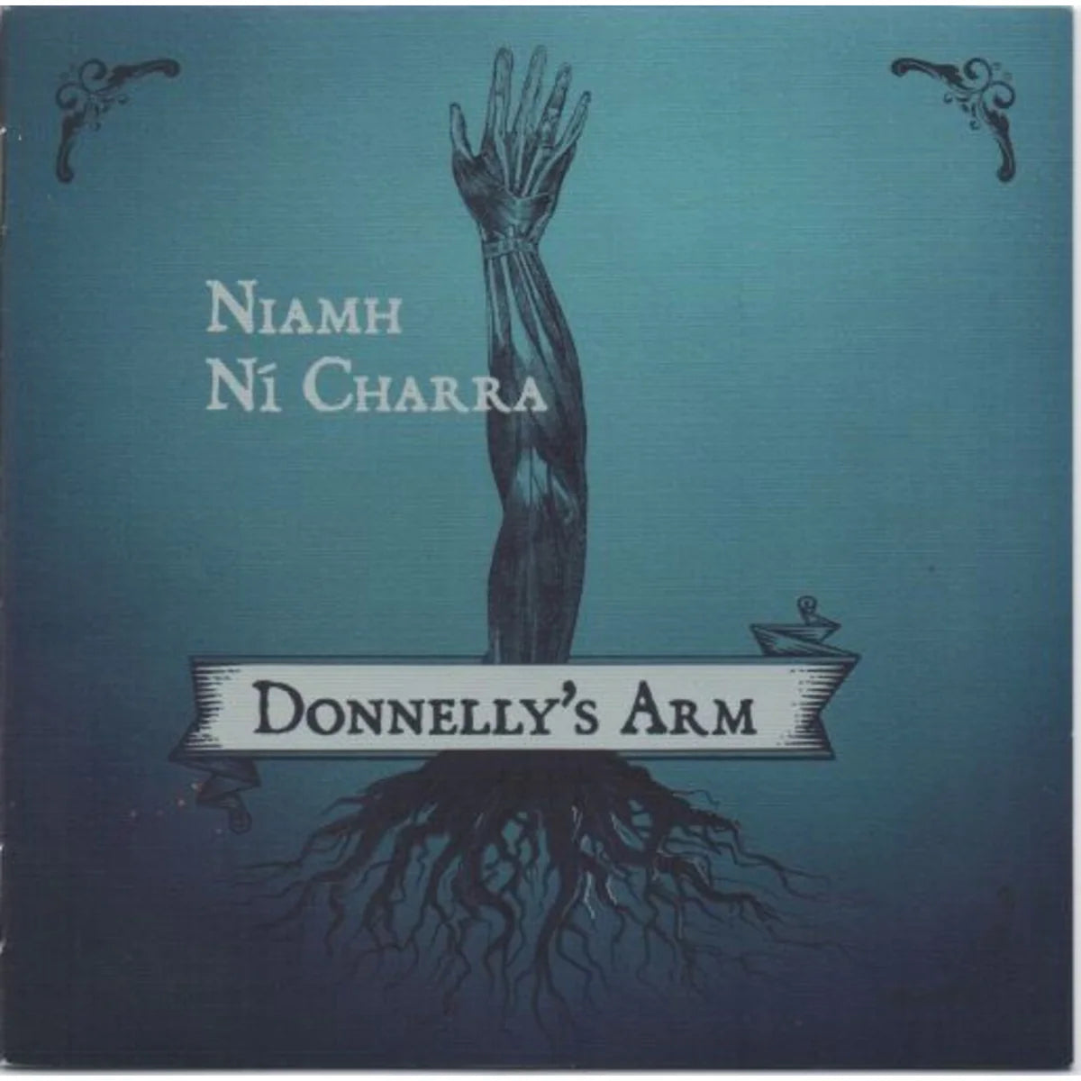 Niamh Ni Charra - Donnelly's Arm [CD]