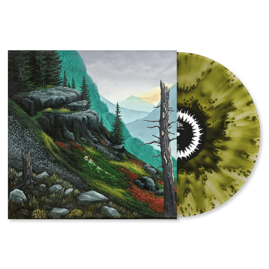 Alda - A Distant Fire [180g Moss & Rain vinyl, Booklet, Download]