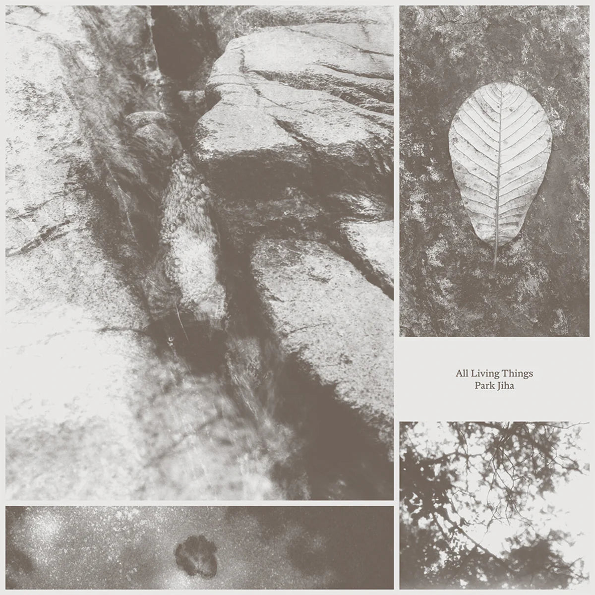 Park Jiha - All Living Things [CD]