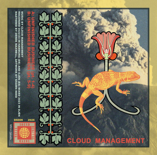 Cloud Management - Unfinished Business [Tape]
