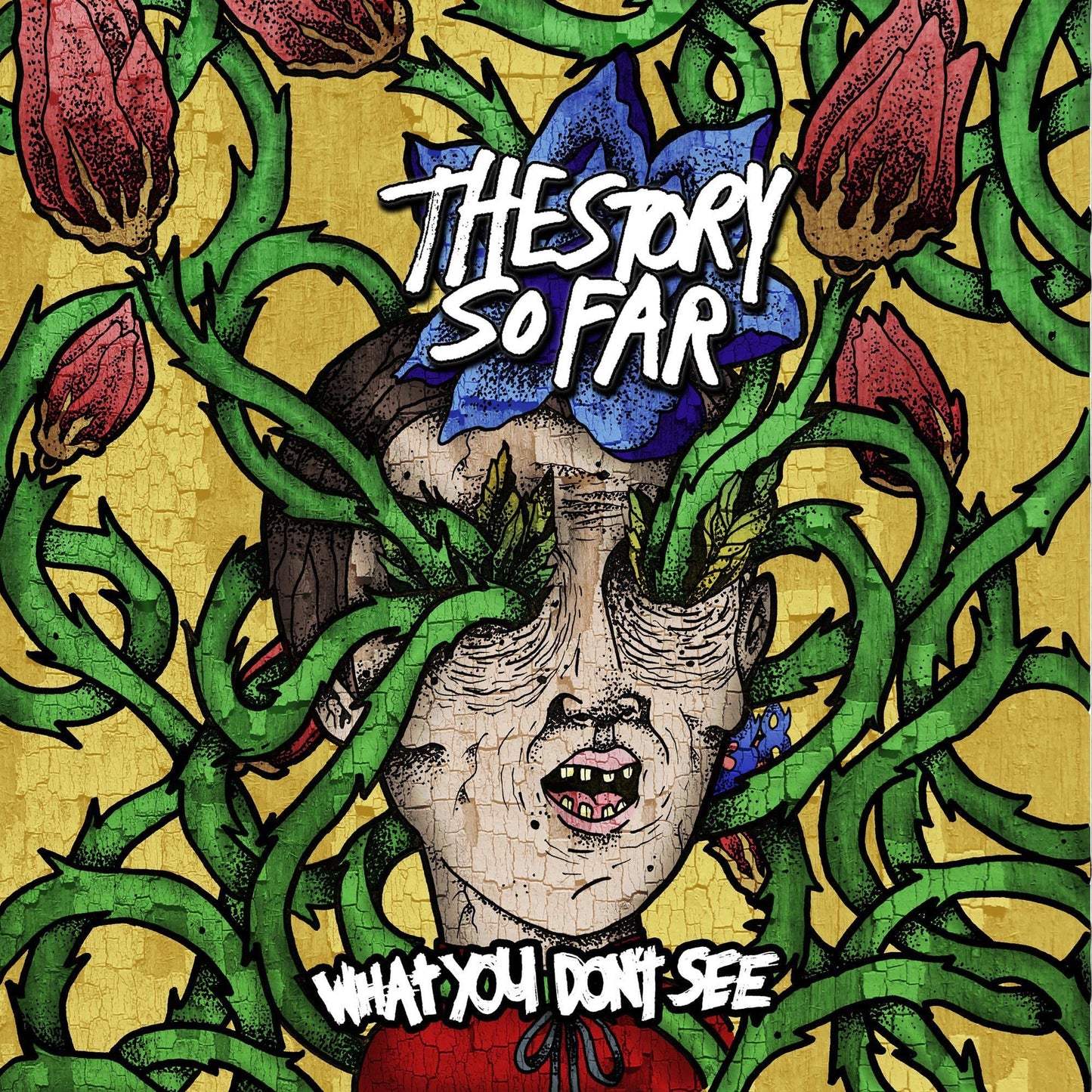 The Story So Far - What You Don't See [Crayons Marble Vinyl]