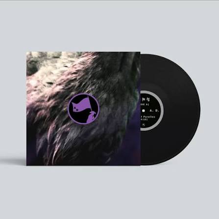 Group A.D. - Bird of Parallax [7" Vinyl]