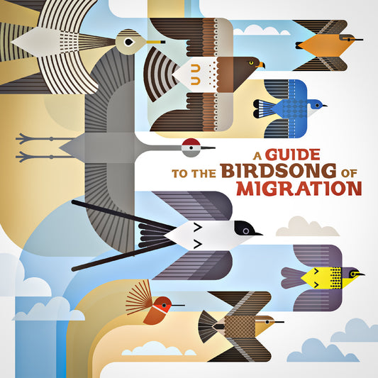Various Artists - A Guide to the Birdsong of Migration