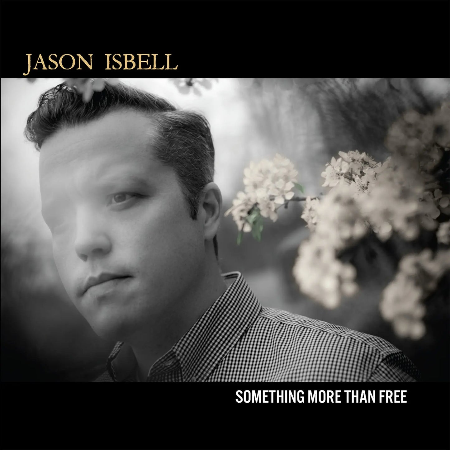 Jason Isbell - Something More Than Free (10 Year Anniversary Edition) [2 x 12" Denim Vinyl]