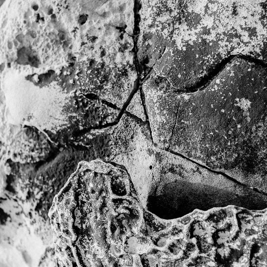 Angel Science - Morning Stone