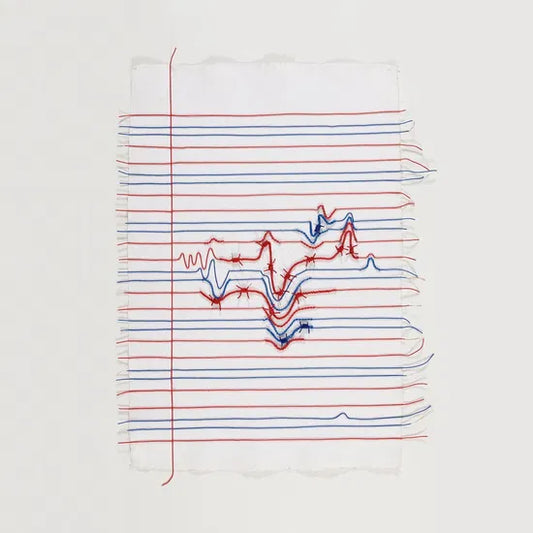 VARIOUS ARTISTS -  Passages: Artists In Solidarity With Immigrants Refugees & Asylum Seekers