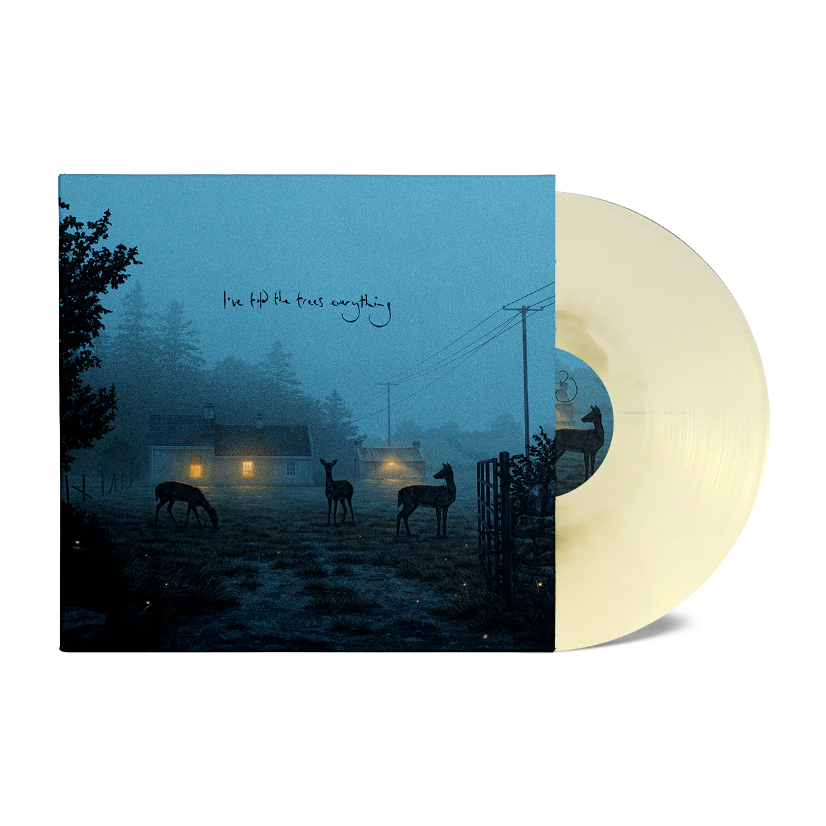 Dermot Kennedy - I've told the trees everything [Coloured Vinyl]