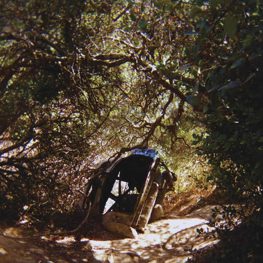 Ty Segall - Possession [CD]