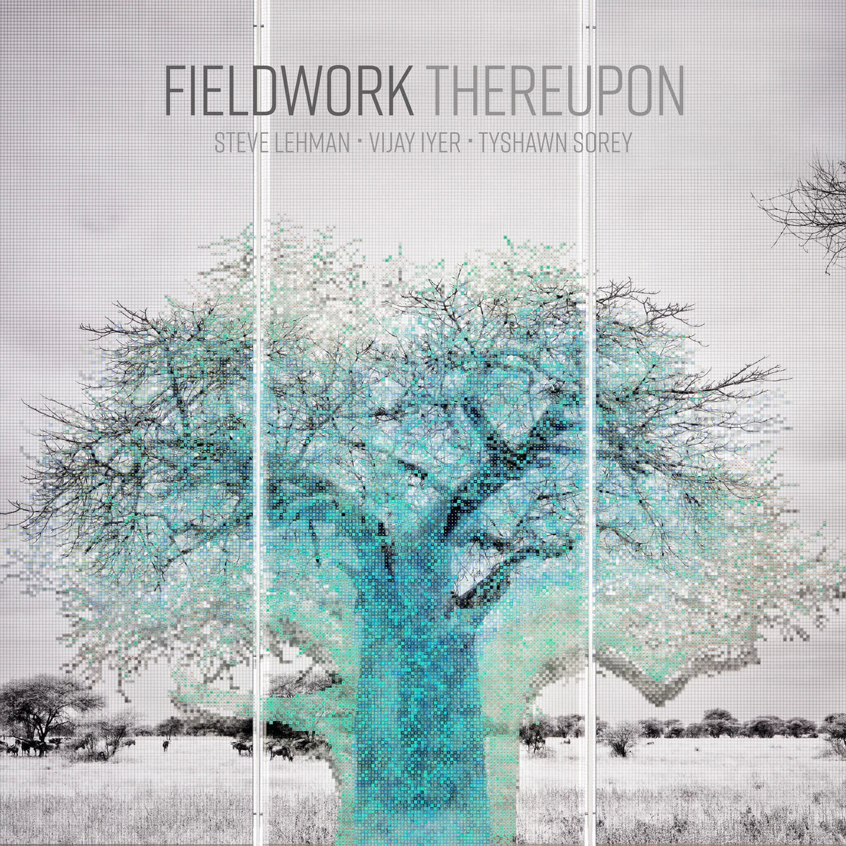 Fieldwork - Thereupon [CD]
