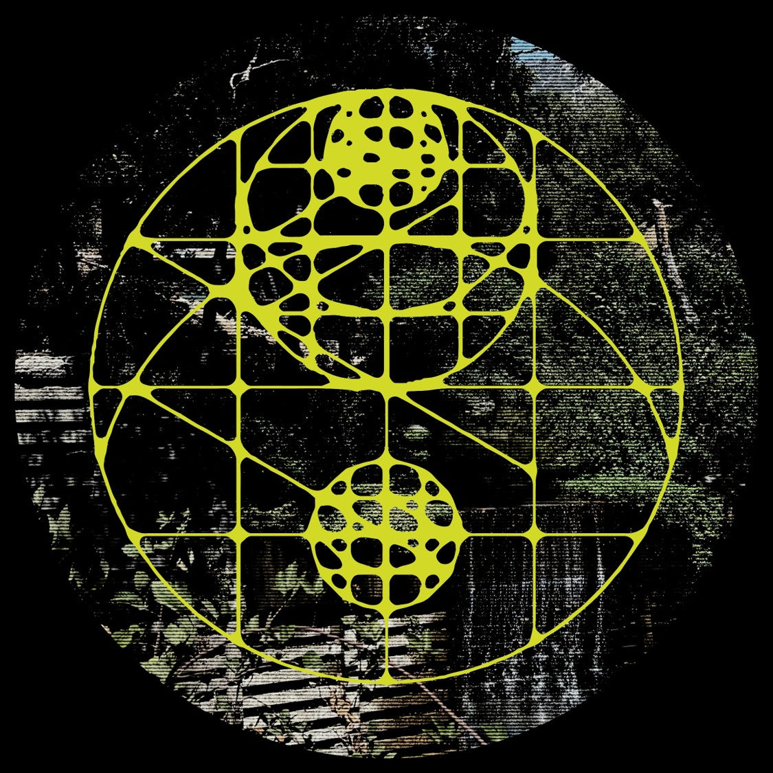 Forest On Stasys - Third Eye Dome