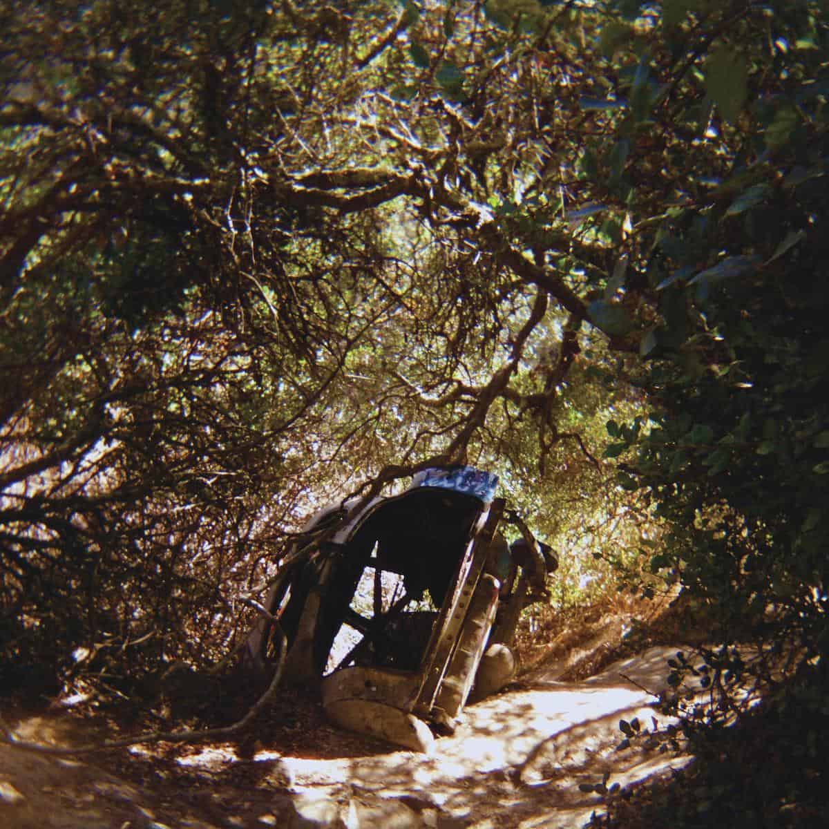 Ty Segall - Possession [MC]