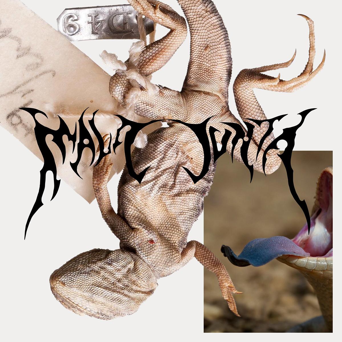 Various Artists - Amniote Editions and Mala Junta present "The Collective Capsule" [screen printed pvc sleeve]