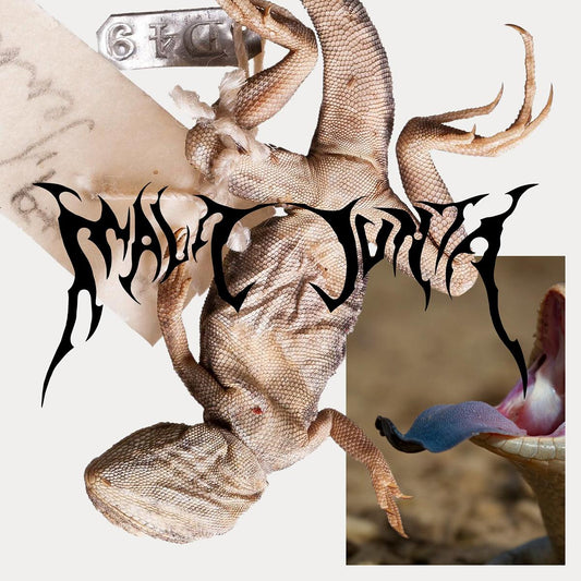 Various Artists - Amniote Editions and Mala Junta present "The Collective Capsule" [screen printed pvc sleeve]