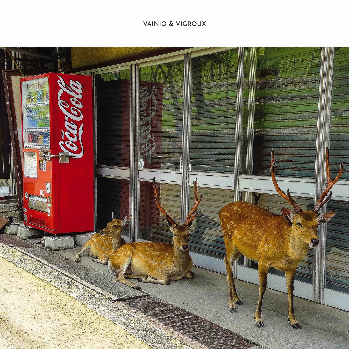 Vainio & Vigroux - Peau Froide, Léger Soleil [CD]