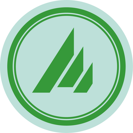 S.Kid – Guidelines / Document 1 [180g coloured 12" vinyl]