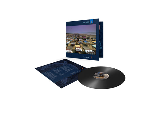 Pink Floyd - A Momentary Lapse of Reason [LP]