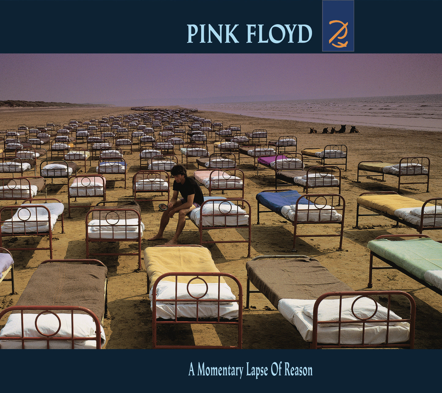 Pink Floyd - A Momentary Lapse of Reason [CD]