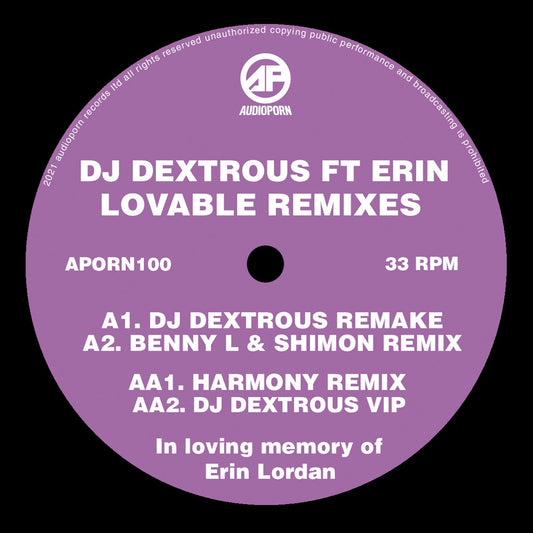 DJ Dextrous Feat. Erin - Lovable Remixes EP