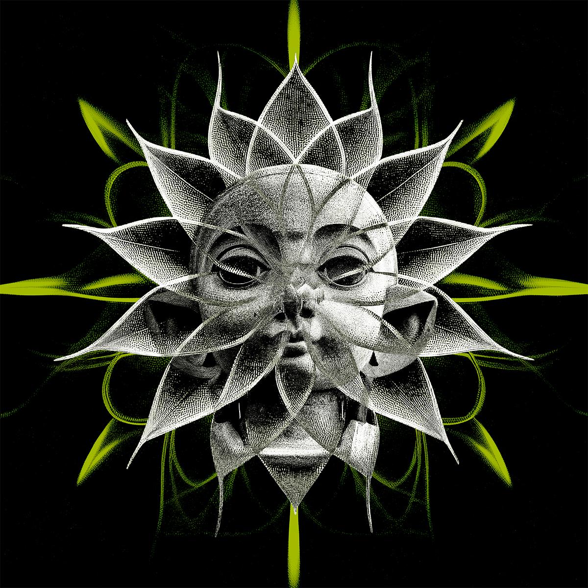 747 - Veiltail/Stairway [printed sleeve]