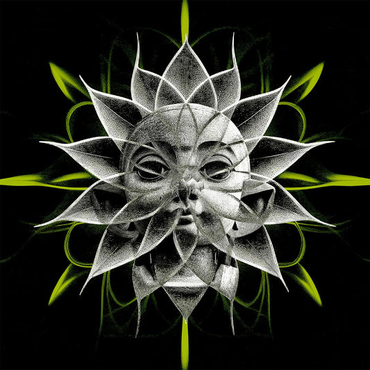 747 - Veiltail/Stairway [printed sleeve]