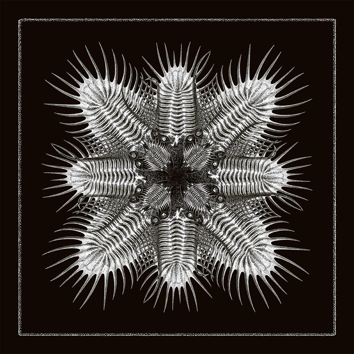 Troma & PERS1 / Blazej Malinowski / Téo Dréan / Nicola Dal Sacco / 747 - 10 [printed sleeve]