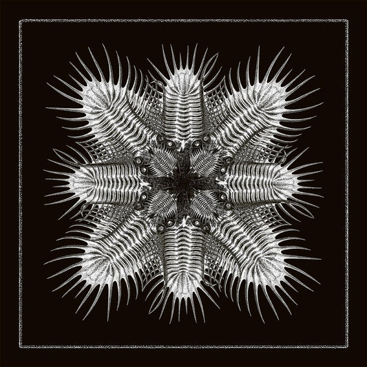 Troma & PERS1 / Blazej Malinowski / Téo Dréan / Nicola Dal Sacco / 747 - 10 [printed sleeve]
