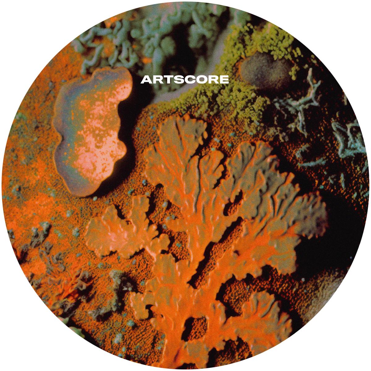 Introversion - Nostalgia [stickered sleeve]