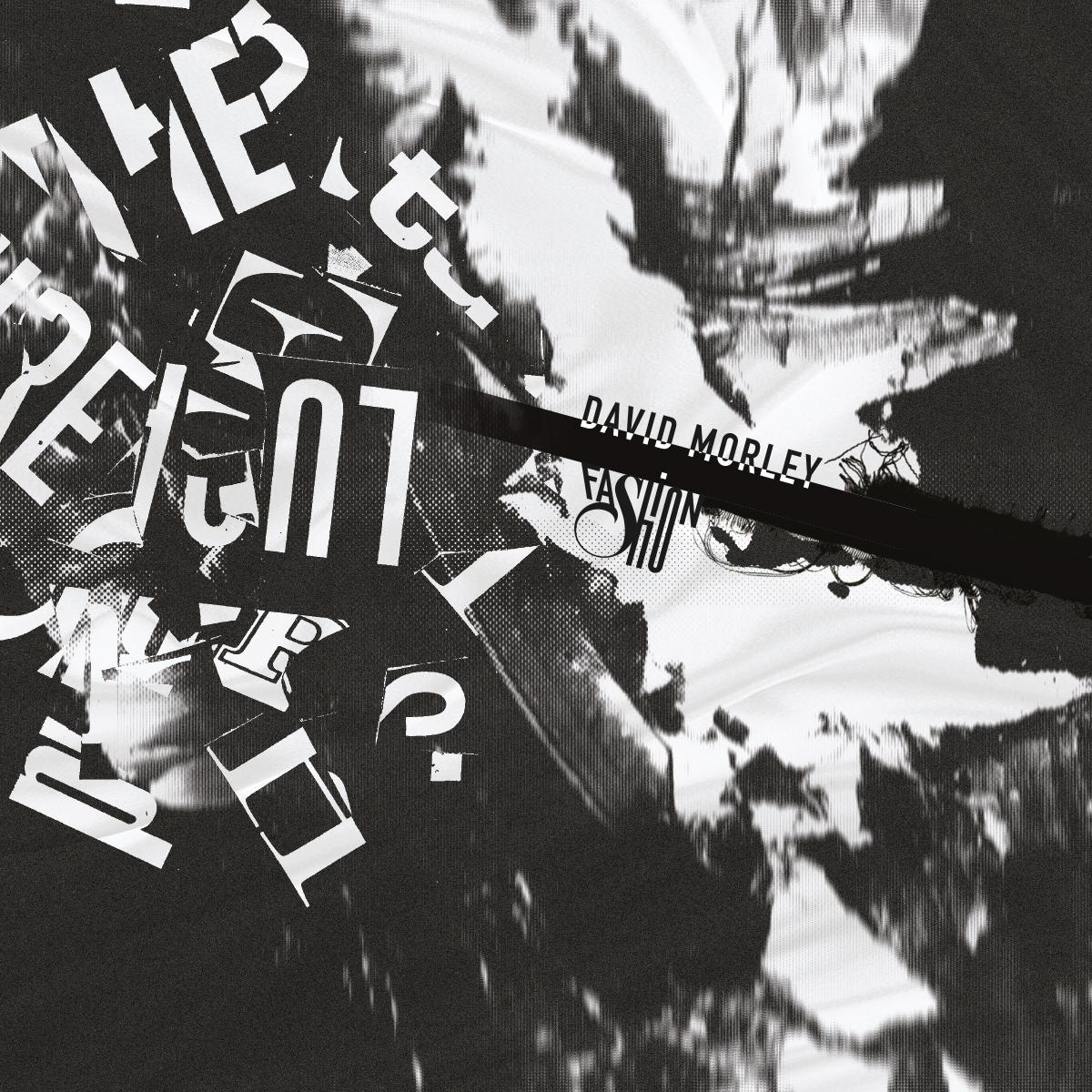 David Morley - Fashion [printed sleeve]