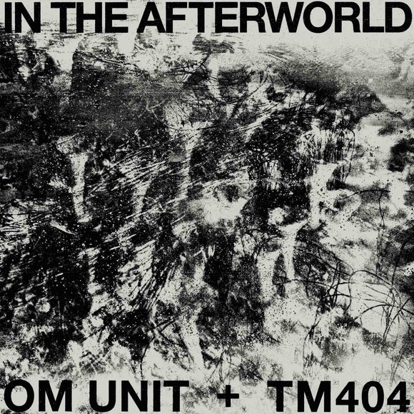 Om Unit + TM404 - In The Afterworld