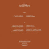 Greenbeam & Leon remix Inigo Kennedy / Albert Van Abbe - The Haze of Dust LP [printed sleeve]
