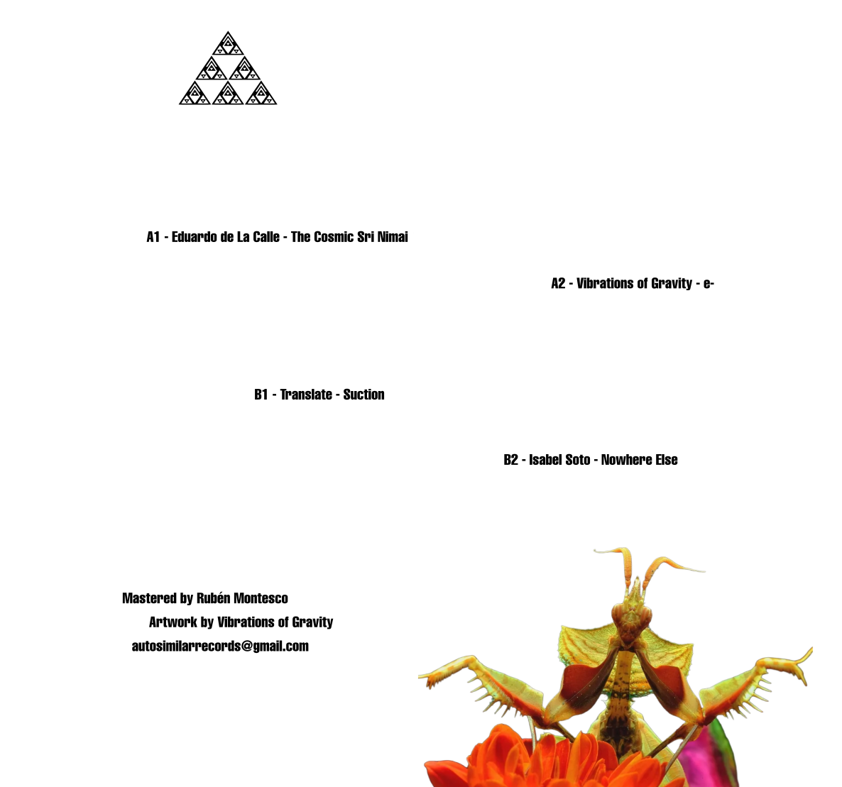 Various Artists - Decoded [Printed Sleeve]