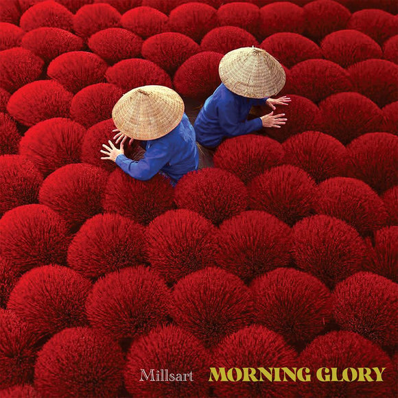 Millsart - MORNING GLORY