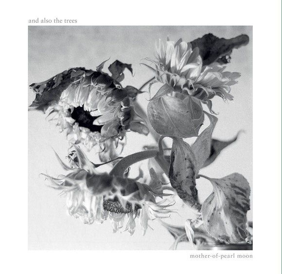 And Also The Trees – Mother-of-Pearl Moon [LP]