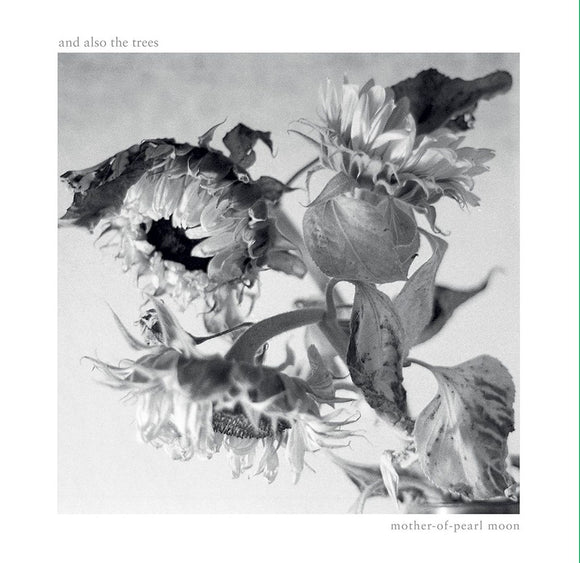 And Also The Trees – Mother-of-Pearl Moon [CD]