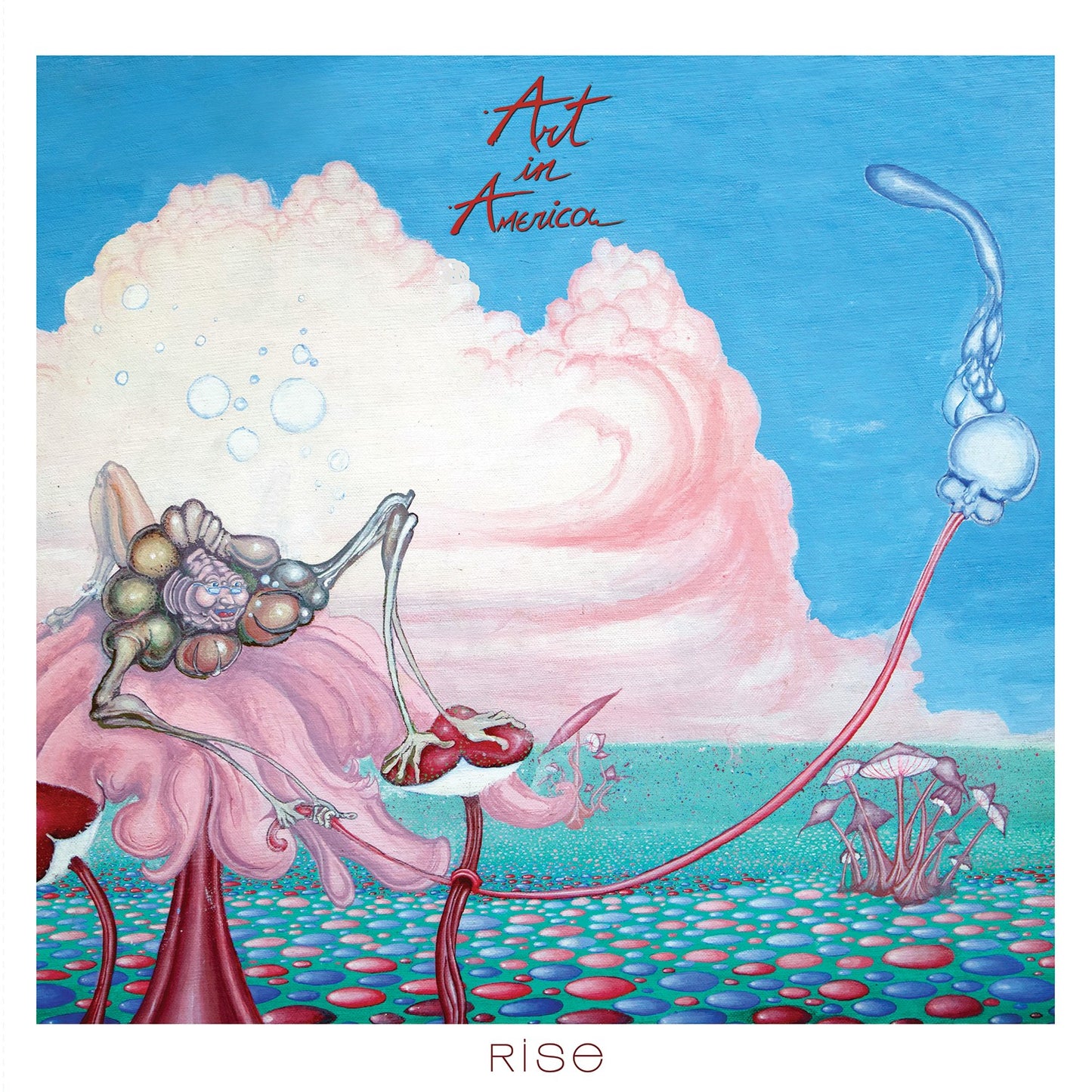 Art In America - Rise [CD]