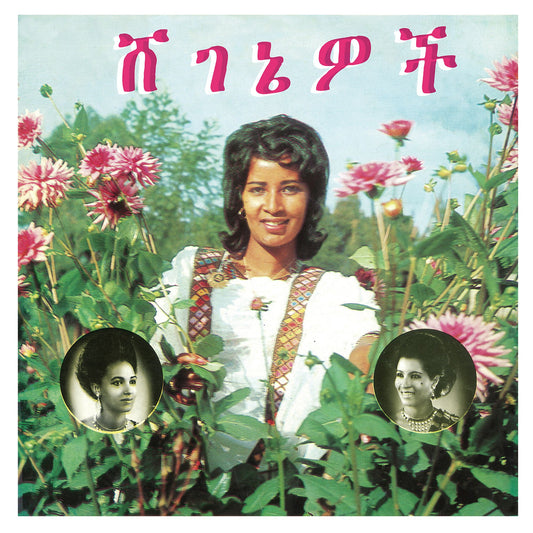 Aselefech Ashine & Getenesh Kebret – Beauties