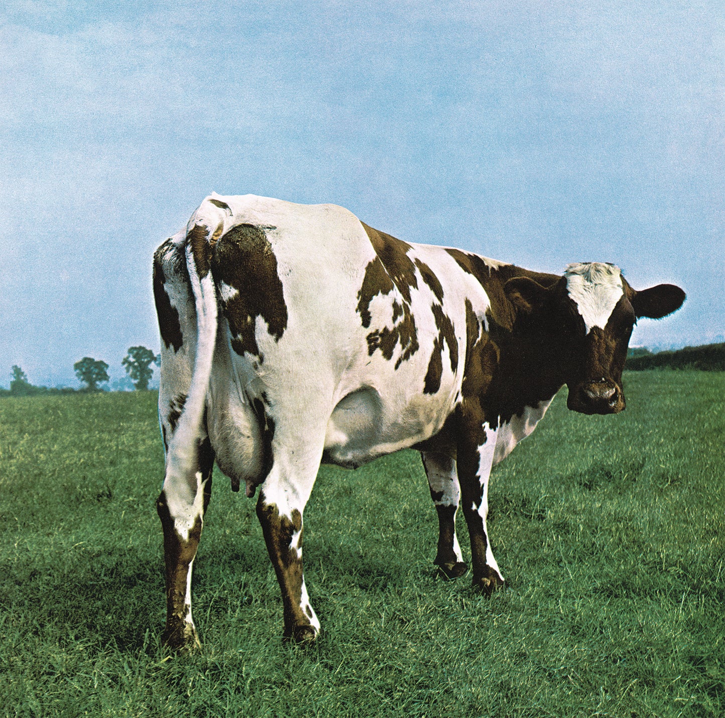 Pink Floyd - Atom Heart Mother [LP]