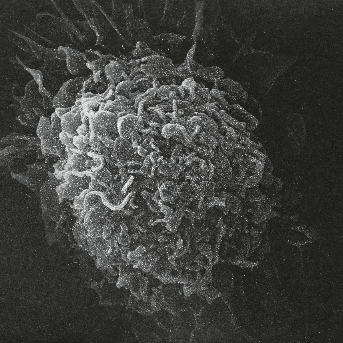 Kashpitzky - Romantic & Dead LP [printed sleeve]