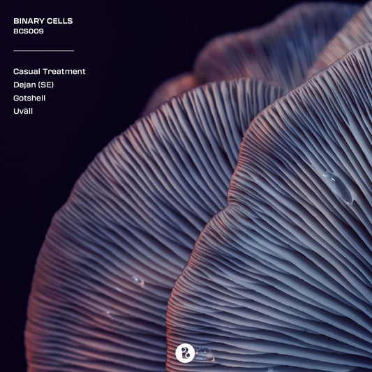 Various Artists - BCS009 [blue marbled vinyl / [printed sleeve]