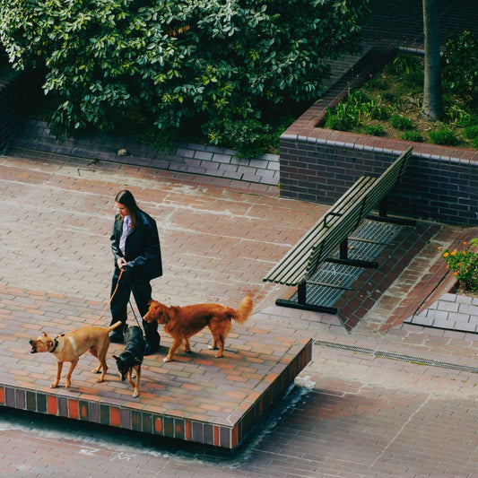 SAINT DX - Way Back Home