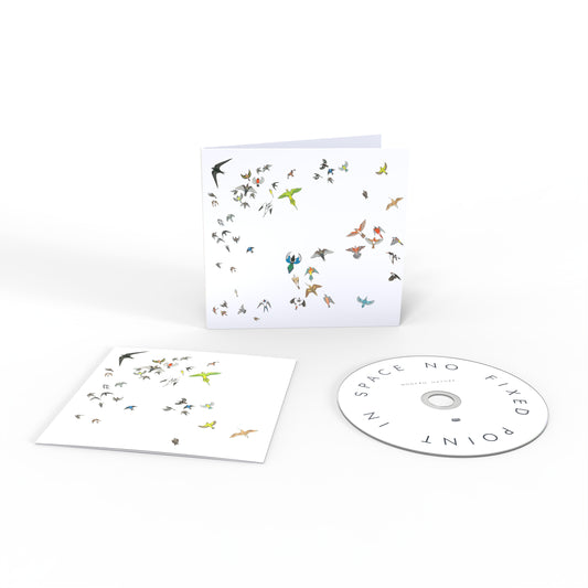 Modern Nature - No Fixed Point In Space [CD]