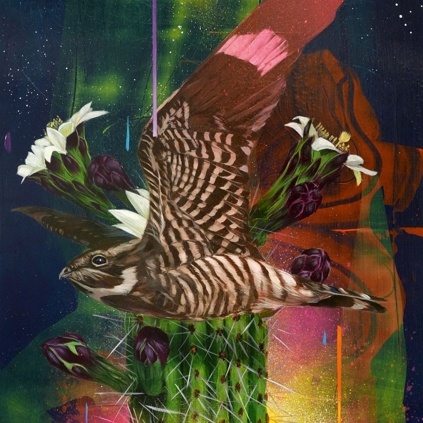 Todd Russell & The Dangerous Coats - Playa  Larga / 1900  Ocean Ave