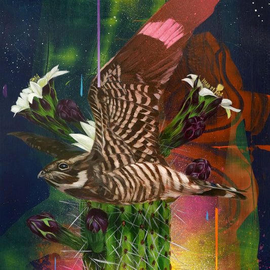 Todd Russell & The Dangerous Coats - Playa  Larga / 1900  Ocean Ave