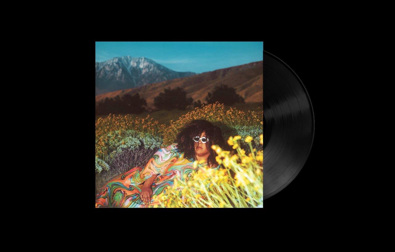 Brittany Howard - WHAT NOW [Standard Black Vinyl]