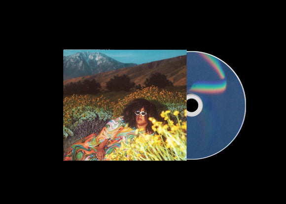Brittany Howard - WHAT NOW [Standard CD]