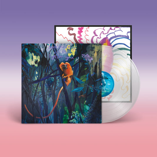 Bonnie "Prince" Billy - We Are Together Again [Transparent LP]