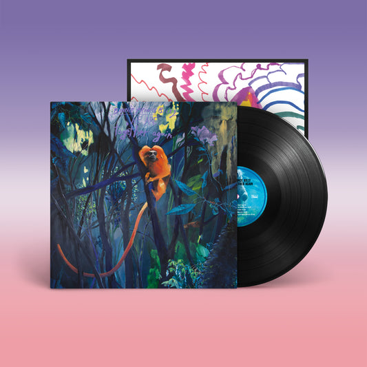 Bonnie "Prince" Billy - We Are Together Again [Black LP]